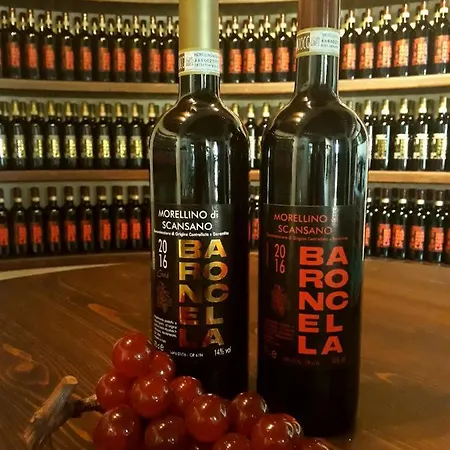 La Baroncella Farm stay